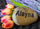 Grandkids Name Rock Custom Personalized Engraved Name Garden Stone