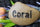 Mother's Day Gift for Grandma - Grandkids Rock - Name Rocks for Garden - Personalized Garden Stone - Custom Stone Engraving - God Rocks