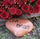 Handwriting -Garden Stones - Memorial Landscape Rock - Memory Rocks - Memorial Signature Garden Rocks - Custom  Rock - Keepsake - God Rocks