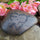 Garden Decor Rock - Newlywed Gift - Housewarming Gift - Engraved Heart - Love Garden Stone - Garden Art - God Rocks - First Home Gift